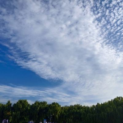炉石传说17173新版本下载